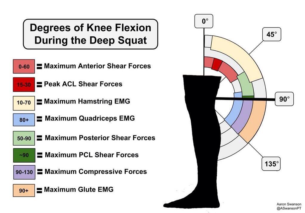 Deep Squat2